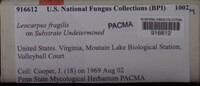 Image Associated With the Occurence